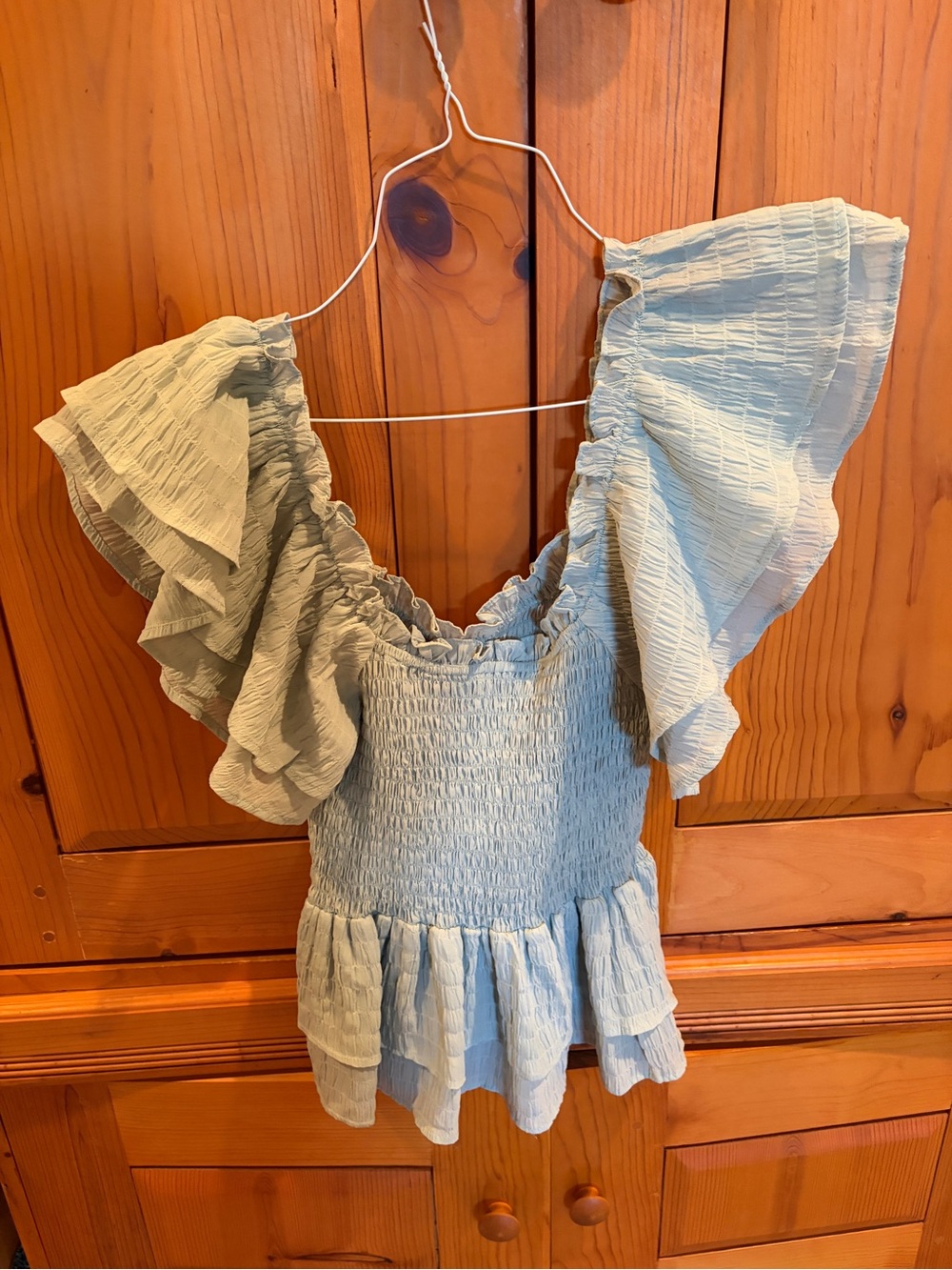 Smocked Ruffle Sleeve Blouse in Light Blue